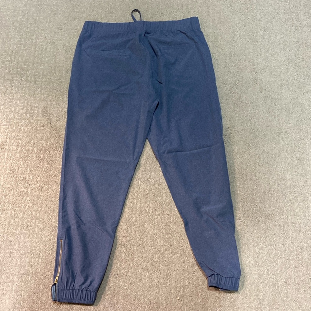 EUC| Light Blue Chambray Albion Fit Jetsetters with Gold Zipper Accents M - Picture 2 of 4